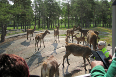 Ahvenanmaa-2023-16