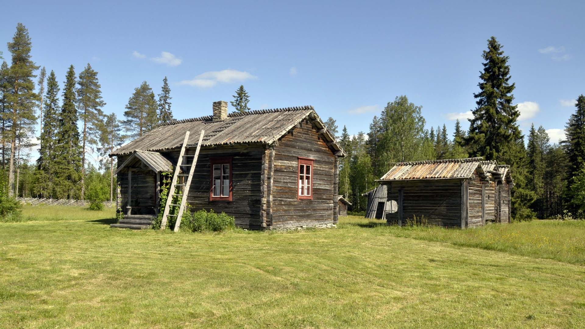 kainuu_2013_hd_0137.jpg