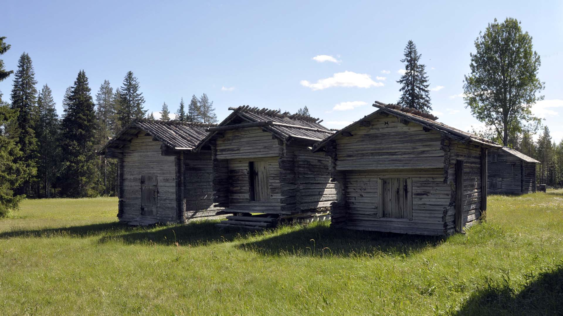 kainuu_2013_hd_0146.jpg