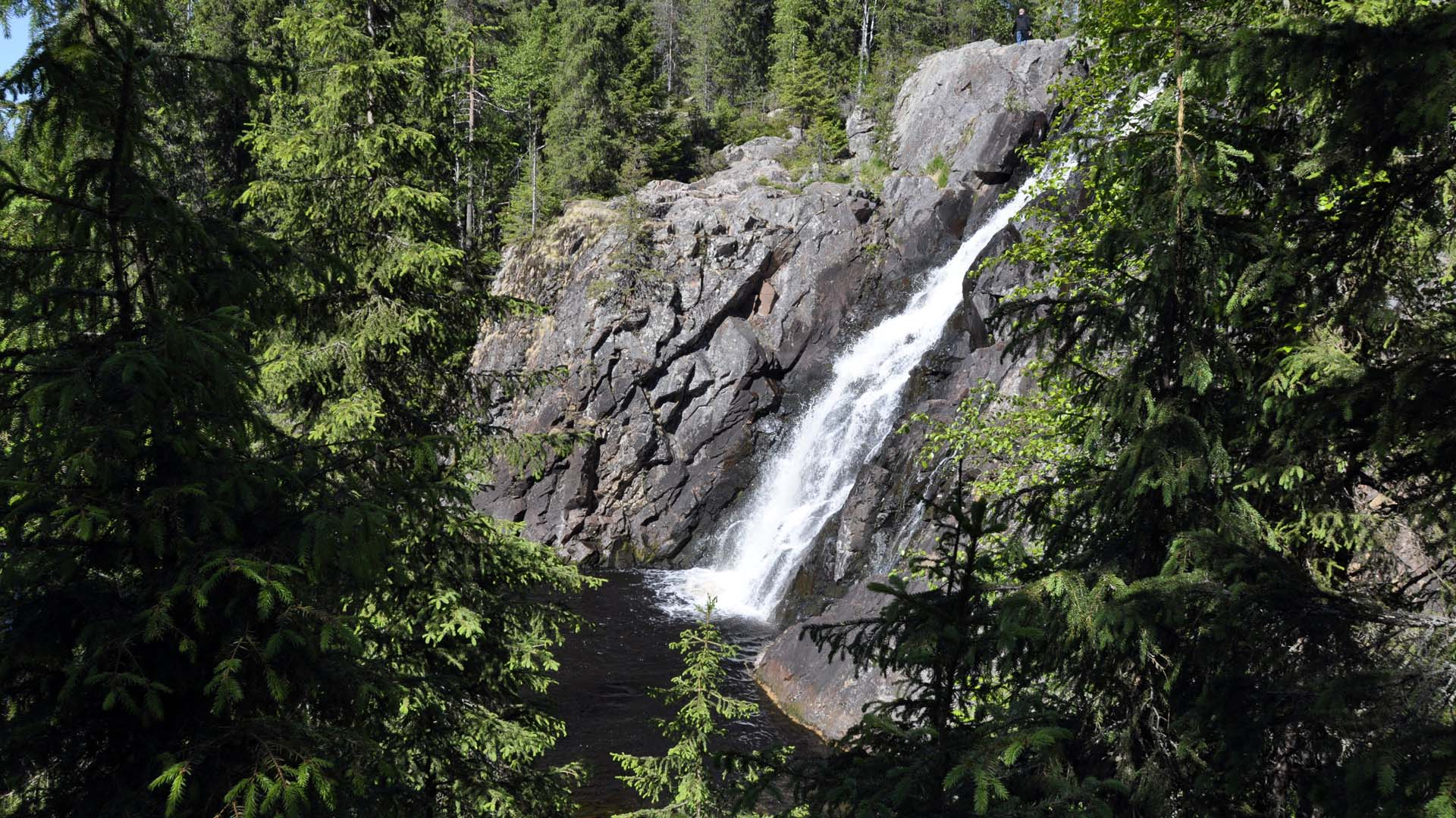 kainuu_2013_hd_0215.jpg