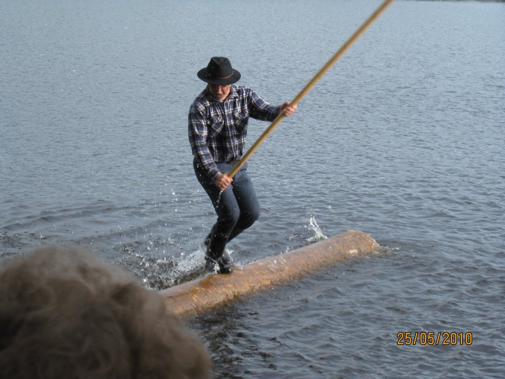 kuopio-rauhalahti-2452010-047.jpg