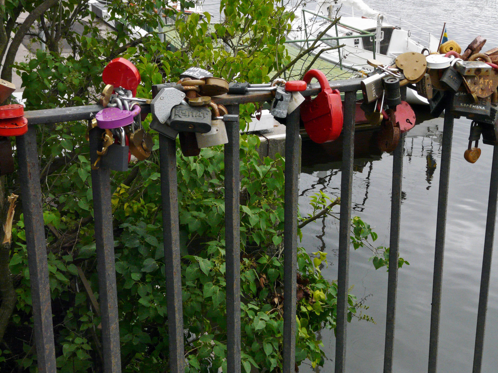 p1070617-copy.jpg