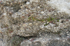 Rodos 2019 71