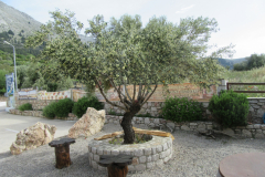 Rodos 2019 91