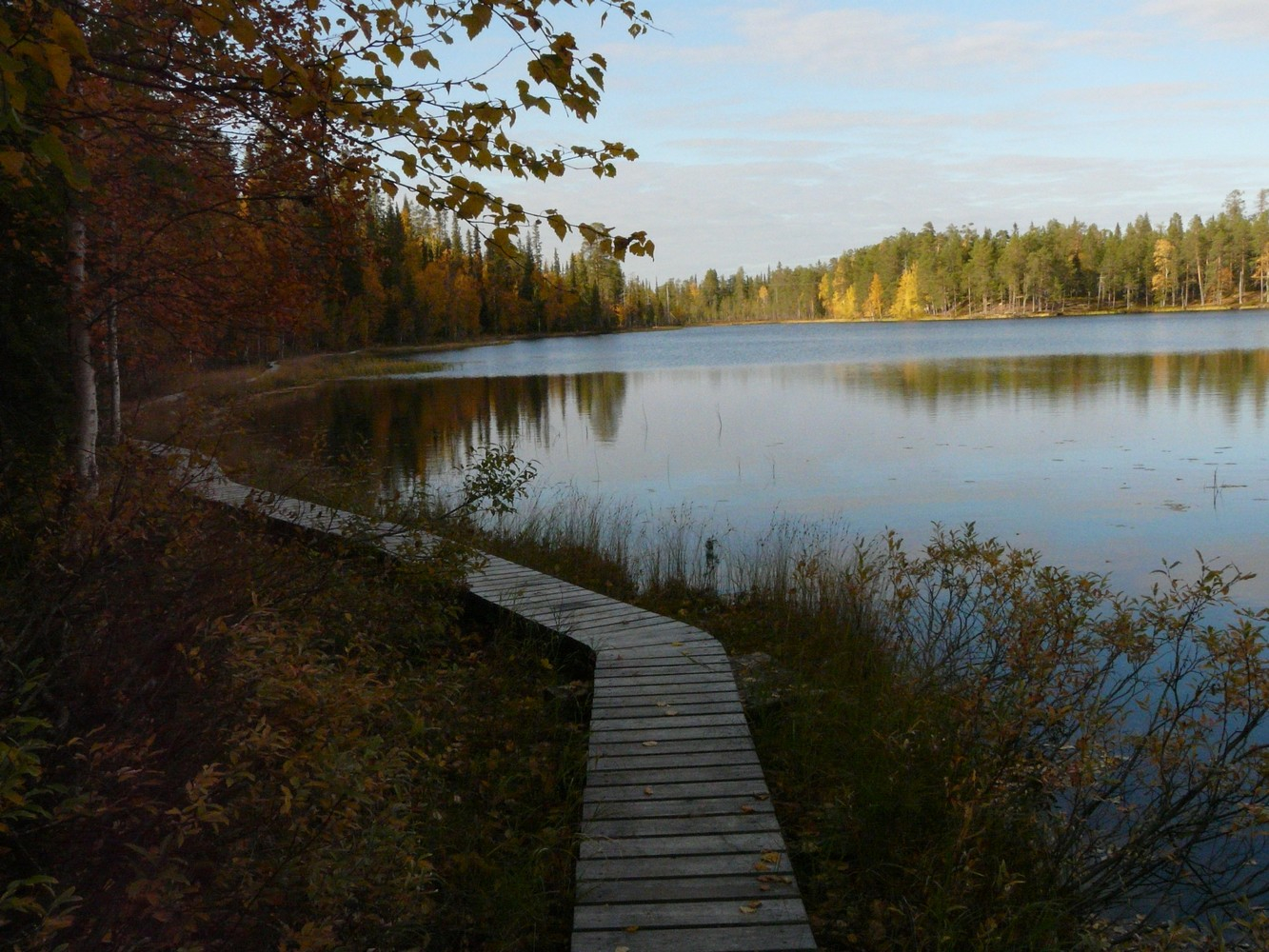 p1080923.jpg