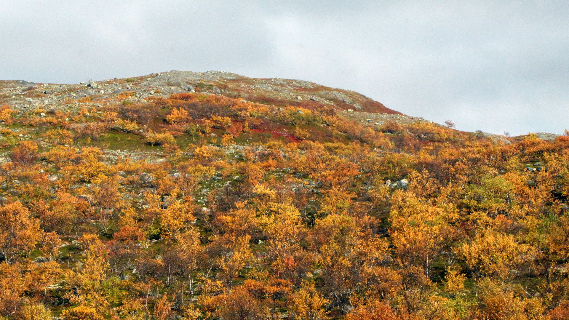 ruskareissu-2013-72.jpg