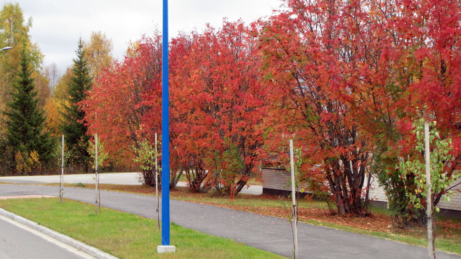 ruskareissu-2013-canon-hd-0034.jpg