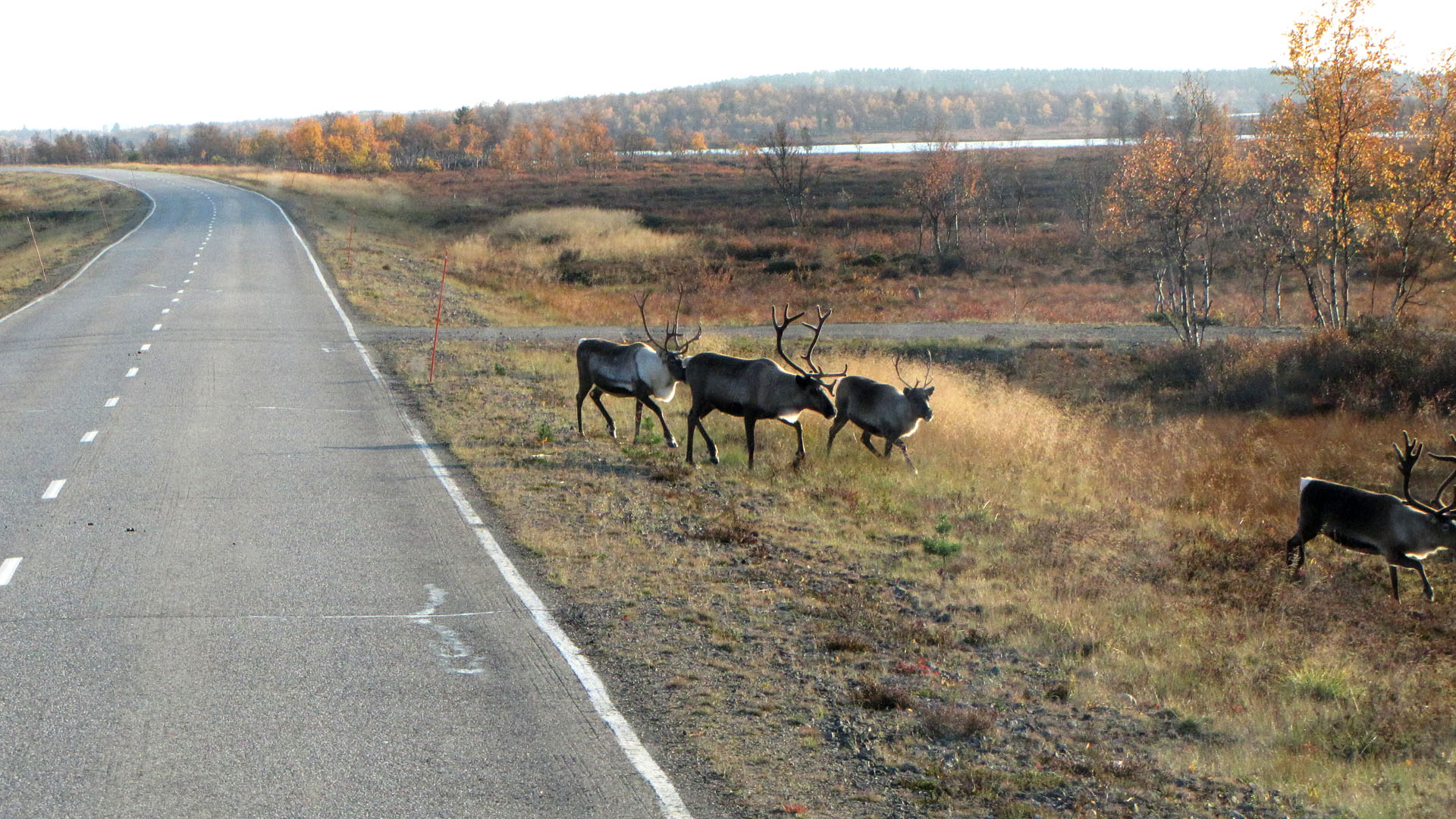 ruskareissu-2013-canon-hd-0126.jpg
