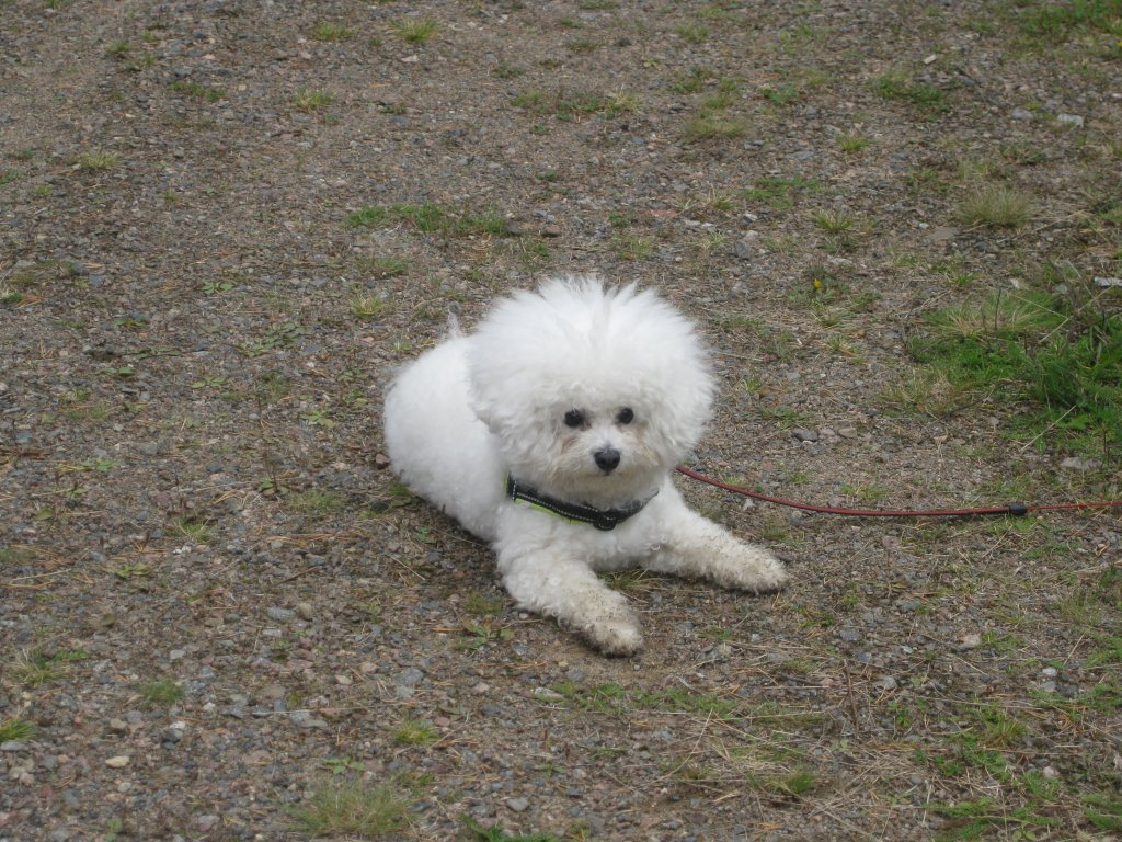 syksy2011-7.jpg